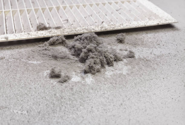 Best Professional Duct Cleaning Services  in Wildwood, NJ