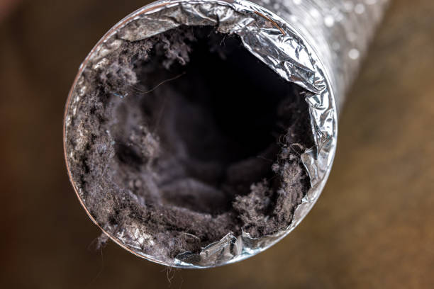 Best Residential Air Duct Cleaning  in Wildwood, NJ